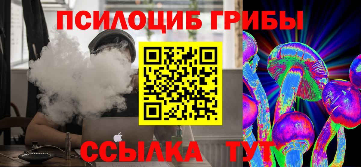 Нововоронеж  Псилоцибиновые грибы Psilocybe  Псилоцибиновые грибы Psilocybe  Вход с VPN 