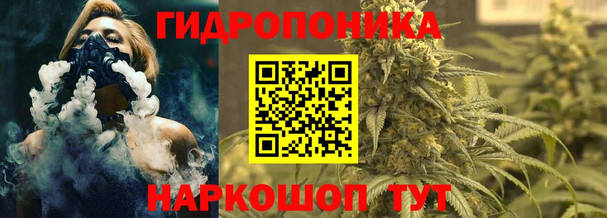 Канабис сатива Нововоронеж